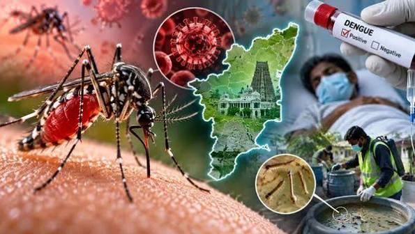 dengue.jpg